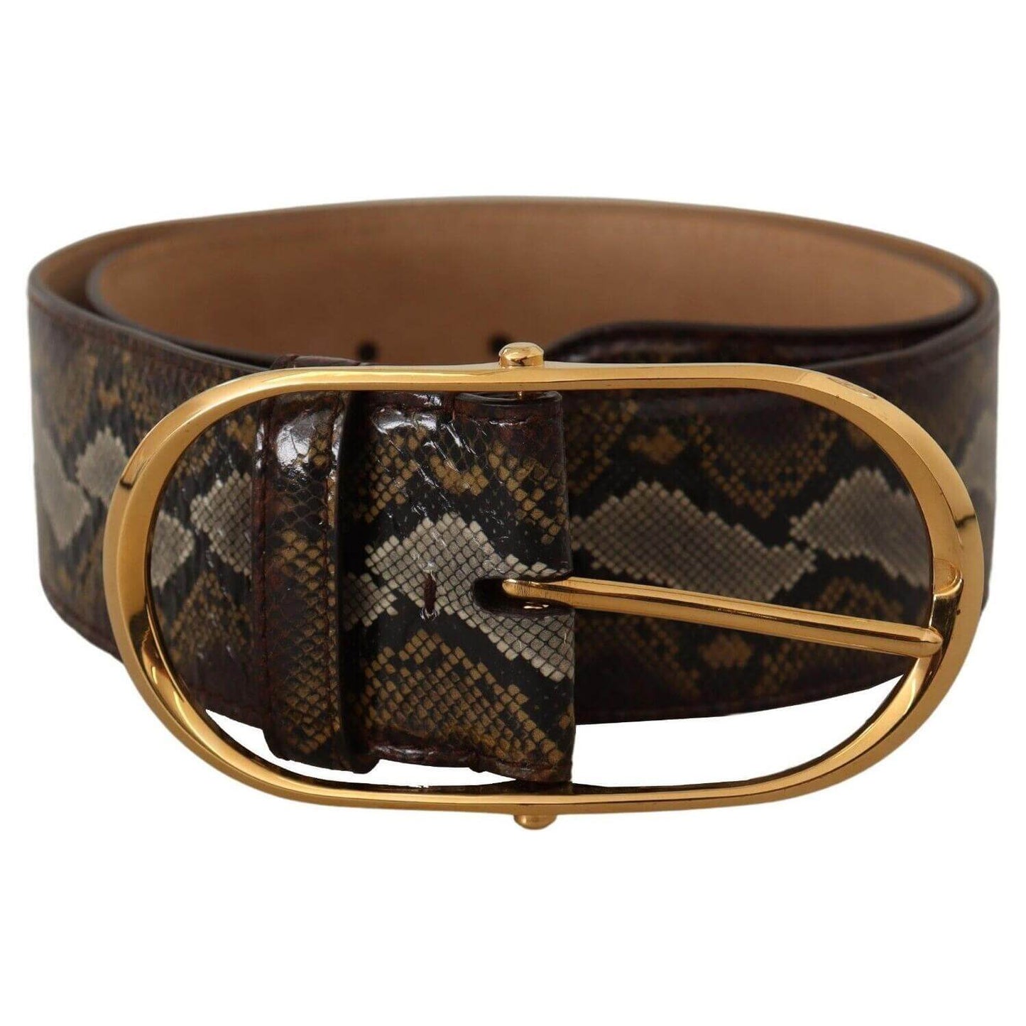 Dolce & Gabbana elegant gold oval buckle leather belt with snake print design, showcasing luxury and sophisticated style.