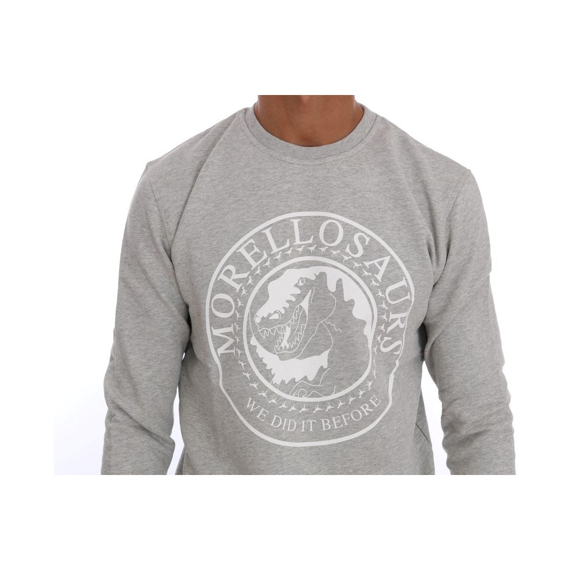 Frankie Morello Gray Cotton Crewneck Pullover Sweater TSH1291#2-2