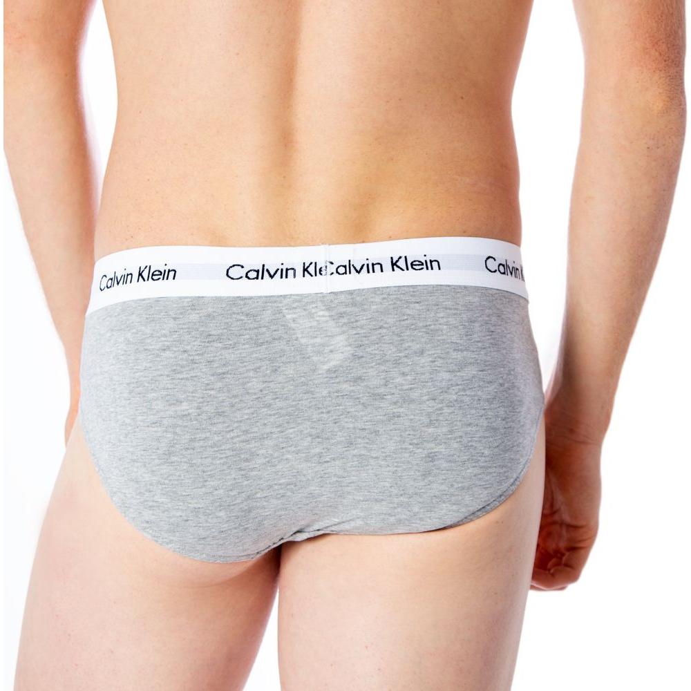 Calvin Klein gray cotton men's briefs with logo waistband for comfort and style.