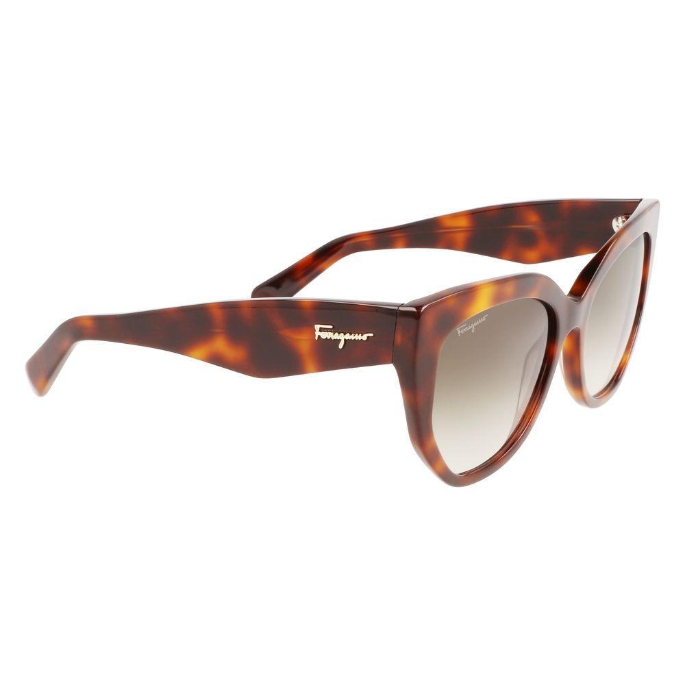 Ferragamo Brown Acetate Sunglasses FESF1061S240AC