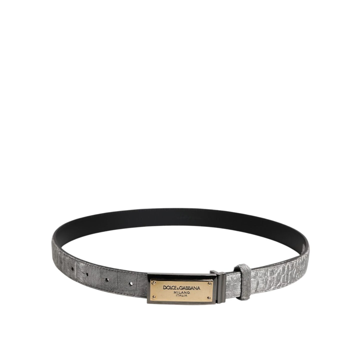 Dolce & Gabbana Silver Classic Gold Logo Plaque Buckle Belt BEL9356-90