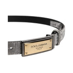 Dolce & Gabbana Silver Classic Gold Logo Plaque Buckle Belt BEL9356-90