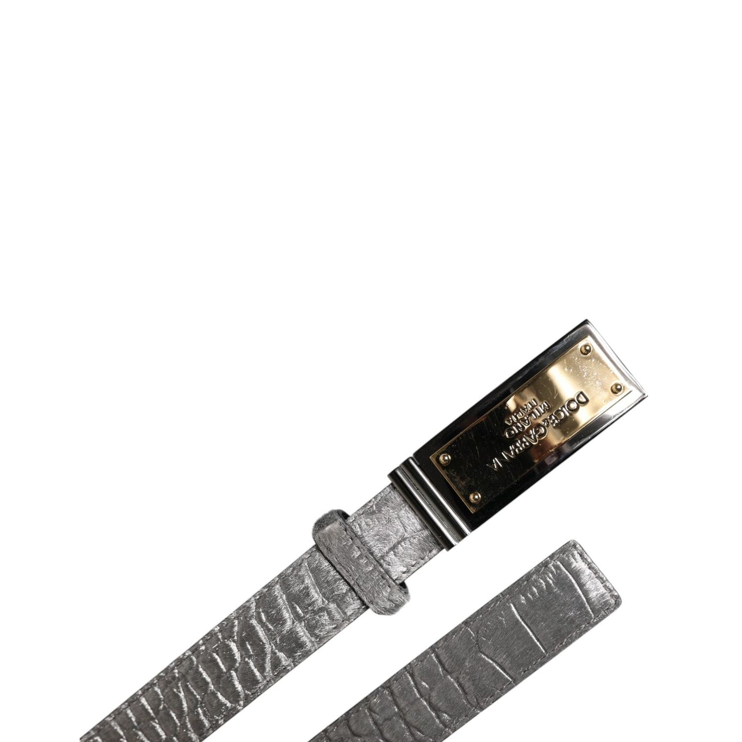 Dolce & Gabbana Silver Classic Gold Logo Plaque Buckle Belt BEL9356-90