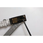 Dolce & Gabbana Silver Classic Gold Logo Plaque Buckle Belt BEL9356-90