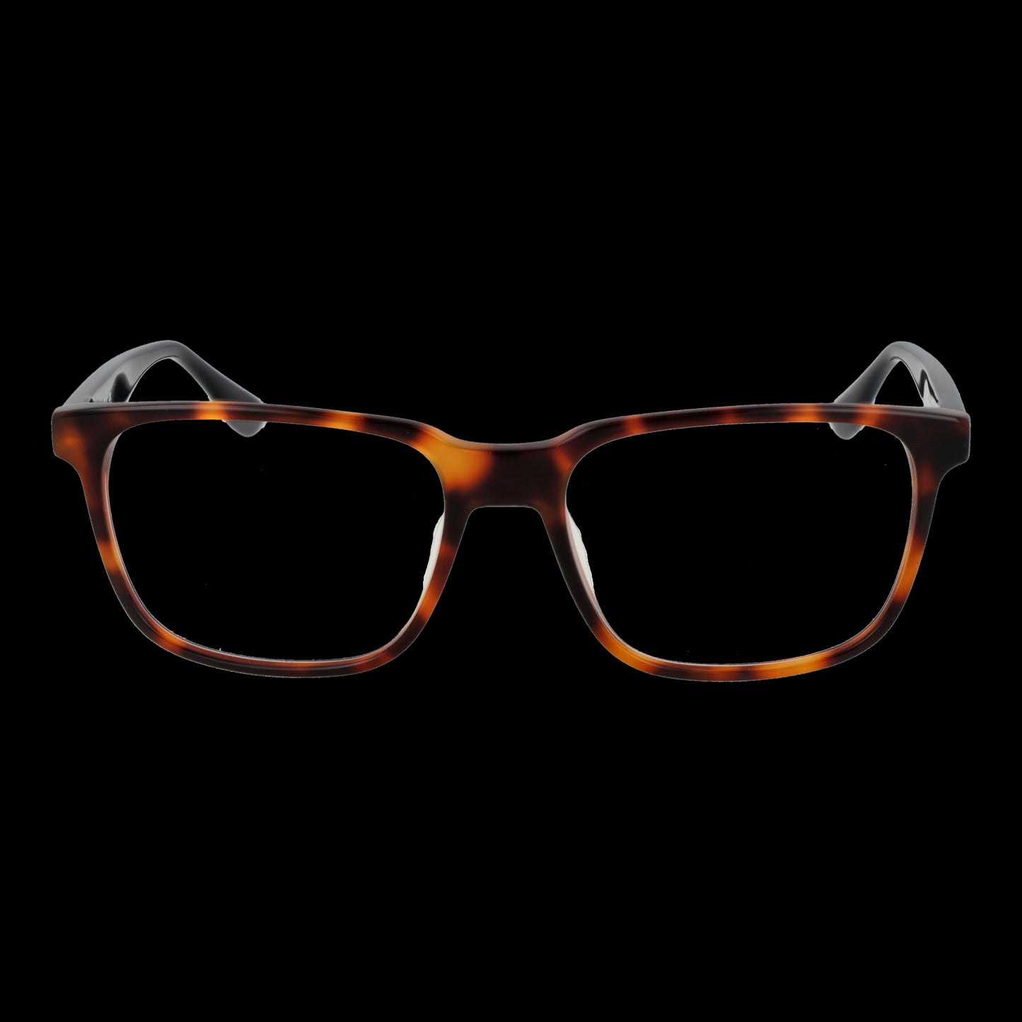 BMW MOD. BW5063-H 55053 SUNGLASSES & EYEWEAR