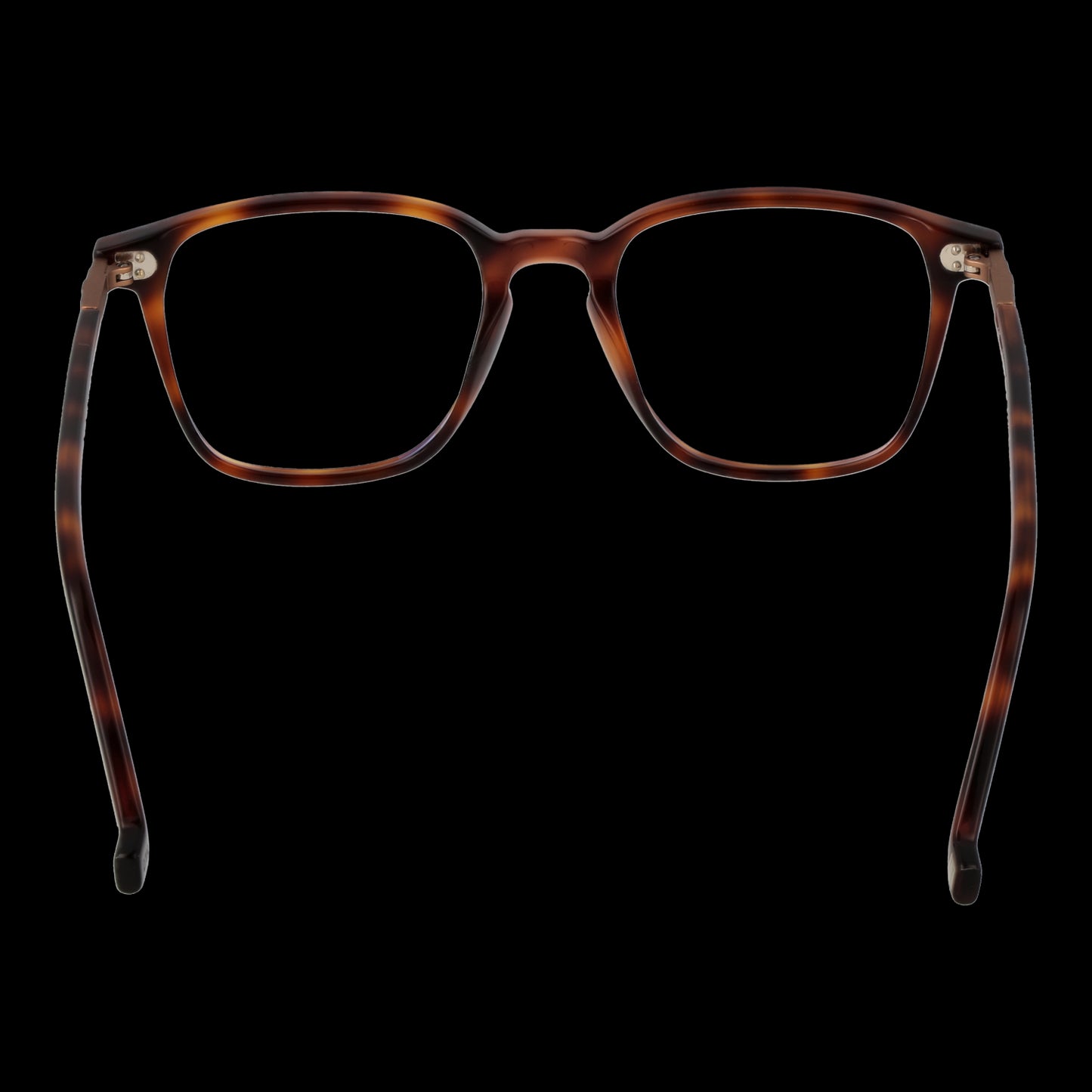 HACKETT BESPOKE MOD. HEB267 51138 SUNGLASSES & EYEWEAR