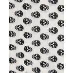 Alexander McQueen Skull wool scarf 590934D3222Q9260