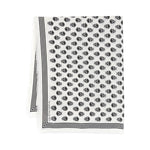 Alexander McQueen Skull wool scarf 590934D3222Q9260