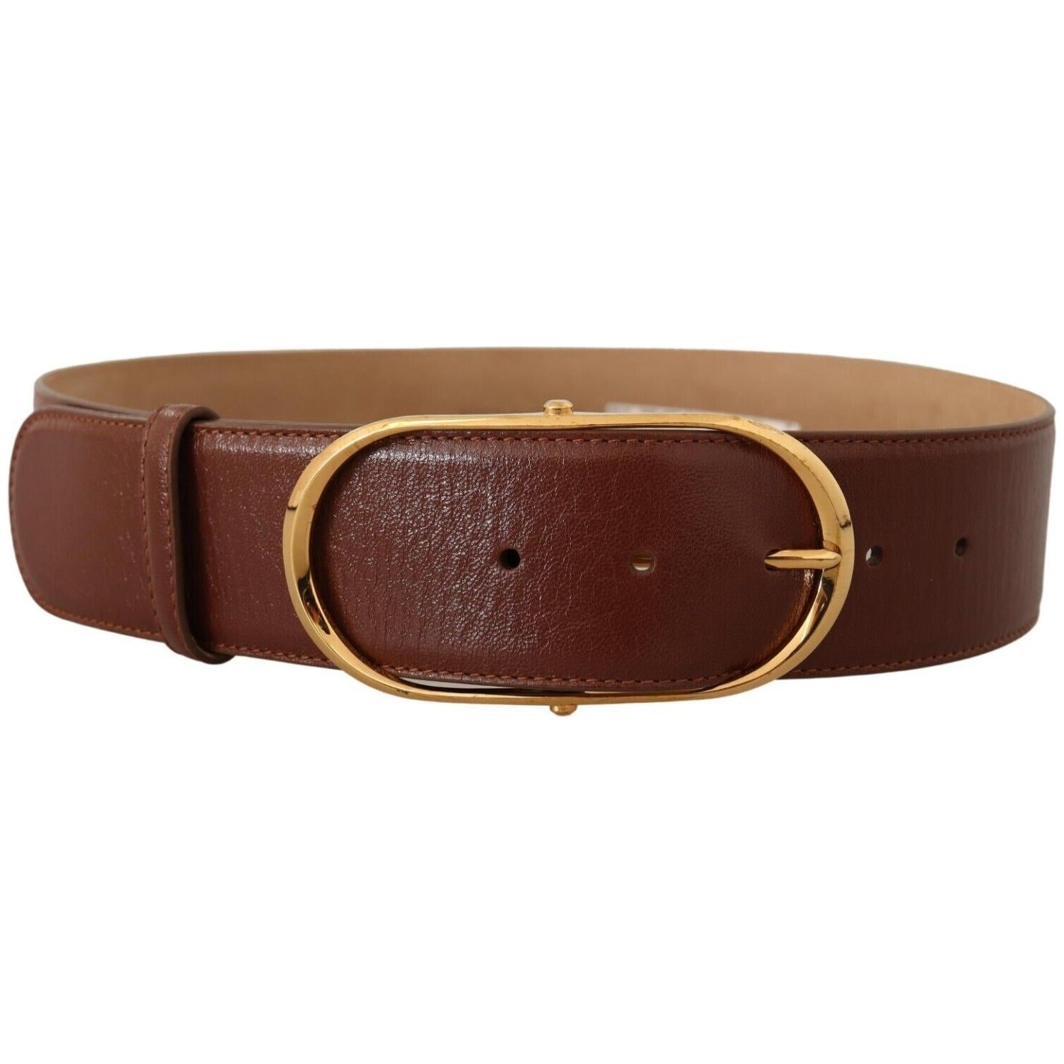 优雅的棕色皮带配金色扣