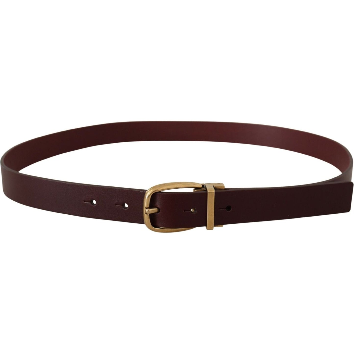 Dolce & Gabbana Brown Leather Classic Gold Metal Buckle Belt