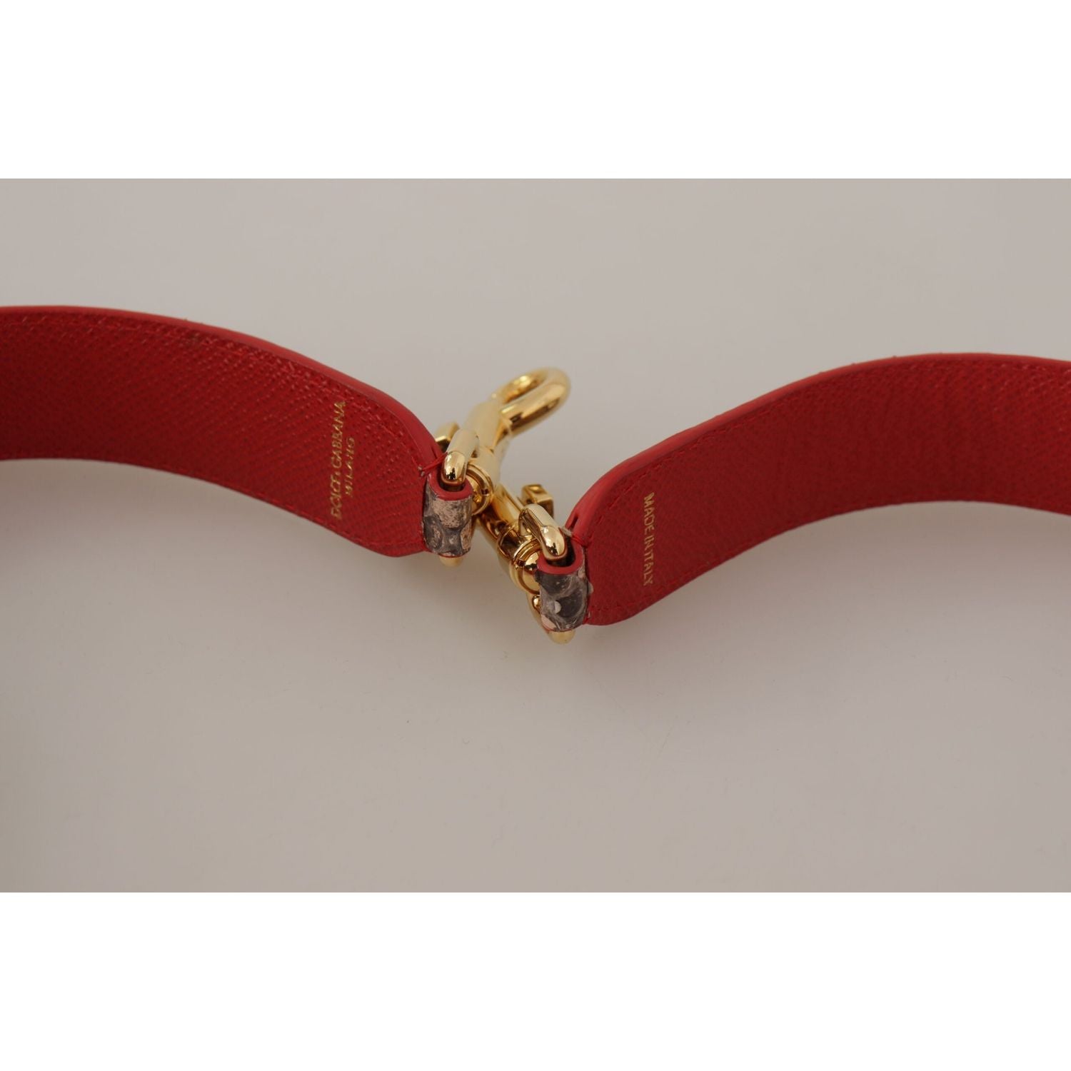 别致的棕色蟒蛇皮包带