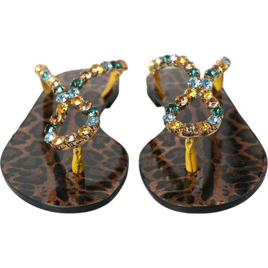Dolce & Gabbana Mustard Crystal Calf Leather Beachwear Shoes Dolce & Gabbana Dark Slate Gray