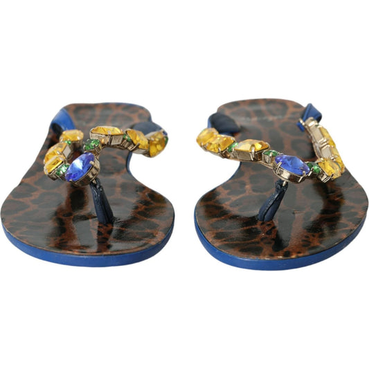 Dolce & Gabbana Blue Crystal Calf Leather Beachwear Shoes Dolce & Gabbana Dim Gray