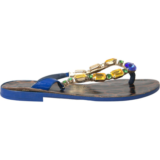 Dolce & Gabbana Blue Crystal Calf Leather Beachwear Shoes Dolce & Gabbana Dim Gray