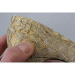 Dolce & Gabbana Gold Taormina Lace Crystal Heels Pumps Shoes LA9994-36.5