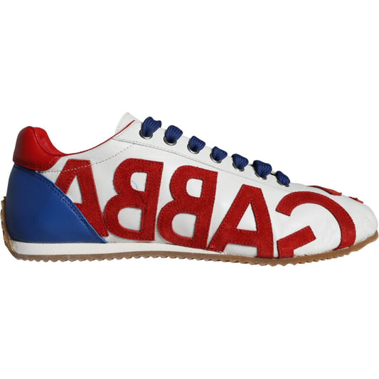 Dolce & Gabbana Multicolor Leather Logo Casual Sneakers Shoes Dolce & Gabbana Brown
