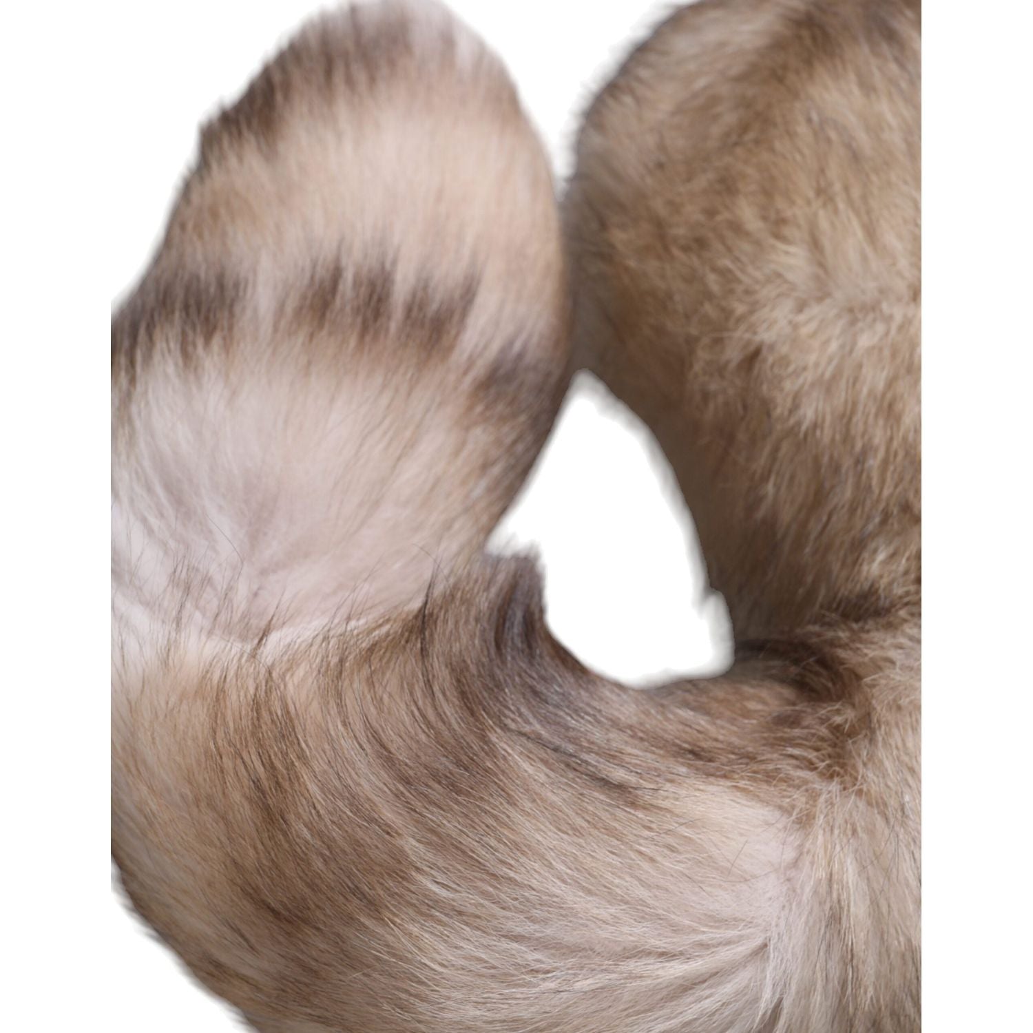 وشاح شتوي من فرو الثعلب البني من دولتشي آند غابانا