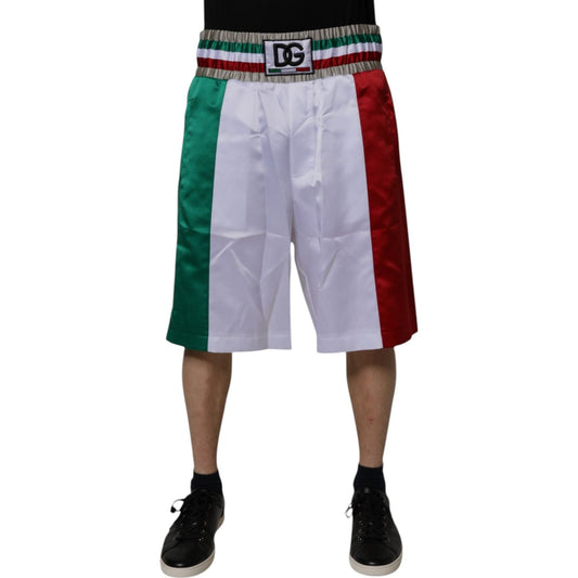 Dolce & Gabbana Multicolor Italia Polyester Bermuda Shorts PAN75251-50