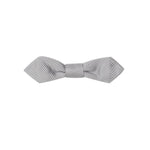 Dolce & Gabbana Gray Silk Bowty