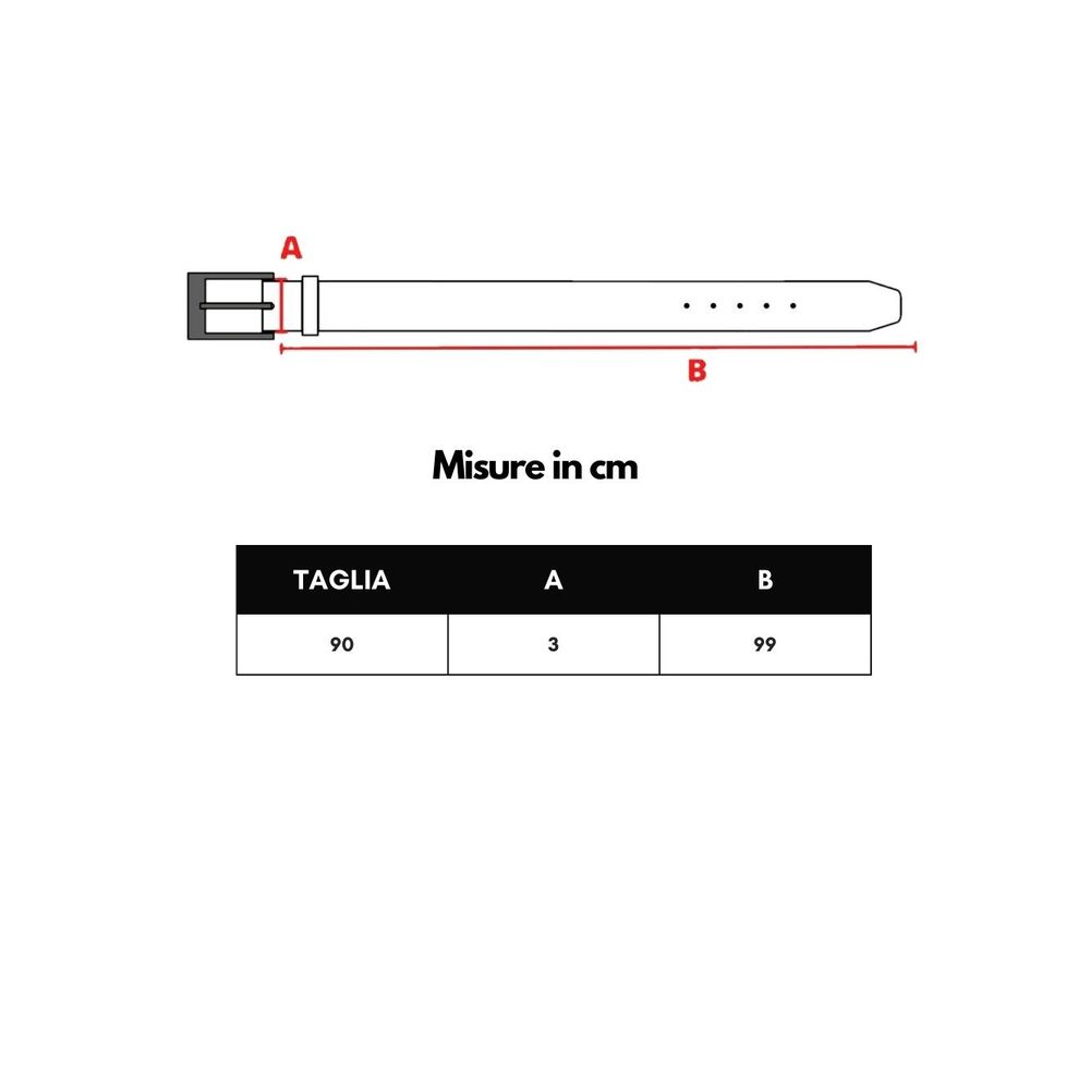 Dolce & Gabbana Black Leather Regular Belt