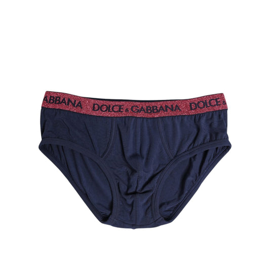 Dolce & Gabbana Blue Red Logo Stretch Regular Brief Underwear BIK1696-4