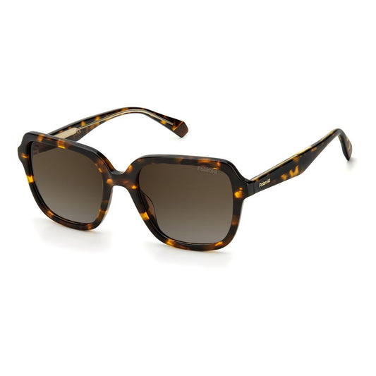 Polaroid Brown Acetate Sunglasses POPLD4095SX086F3LAAC