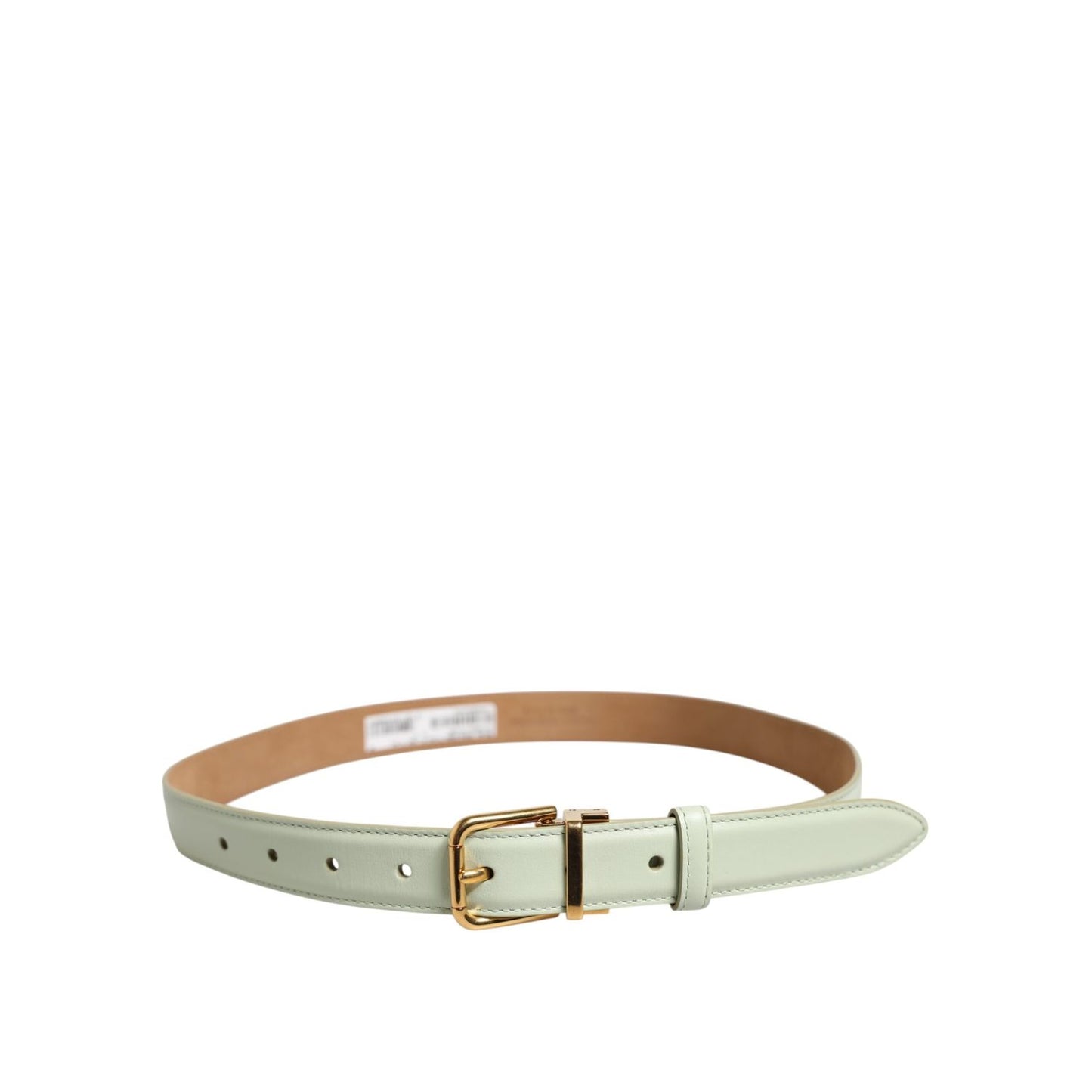 Dolce & Gabbana Light Green Leather Gold Metal Buckle Belt