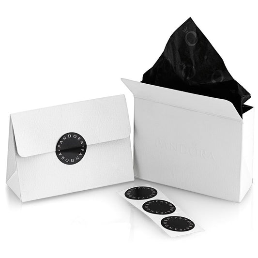 Official packaging for PANDORA Mod. 291156C01 with branding elements, including stickers, in elegant white and black design.